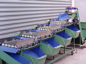 青梅粒徑分級機