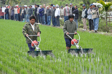水田中耕除草機示範觀摩會