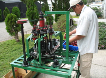 鑽穴式洛神葵去籽機