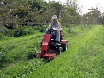 乘坐式割草機