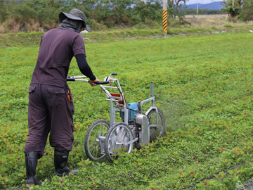 雜糧行間除草機
