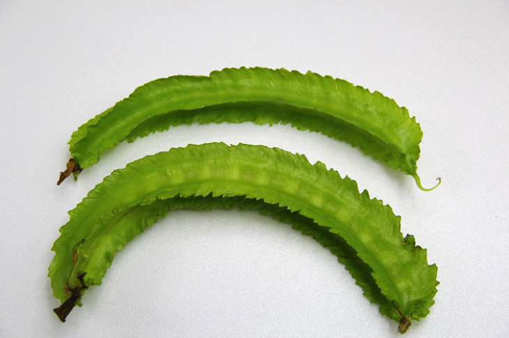 下方豆莢其種仁已經充實膨大，並且在豆莢表面形成些微突起，此時約結莢後第15-16天；而上方豆莢則無突起，此時約結莢後第13-14天