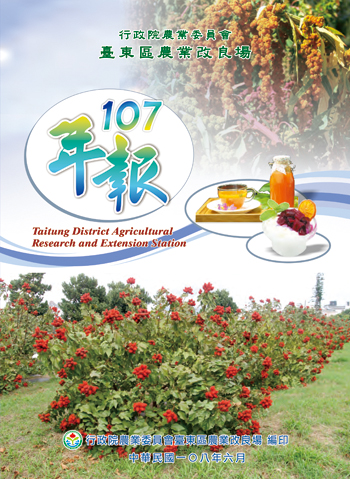 107年年報 107年年報