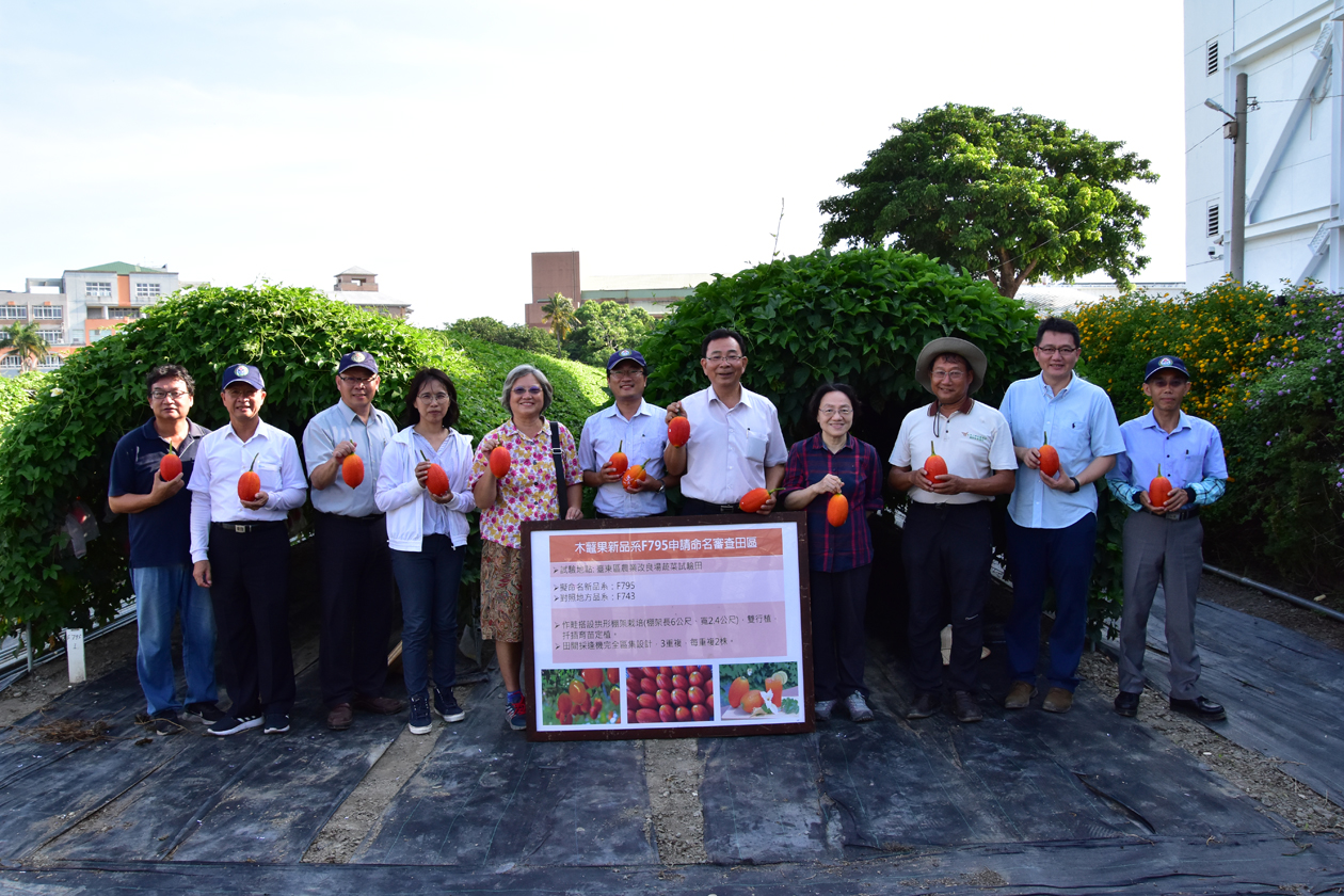 木虌果臺東1號於109年6月23日由審查委員一致決議通過命名