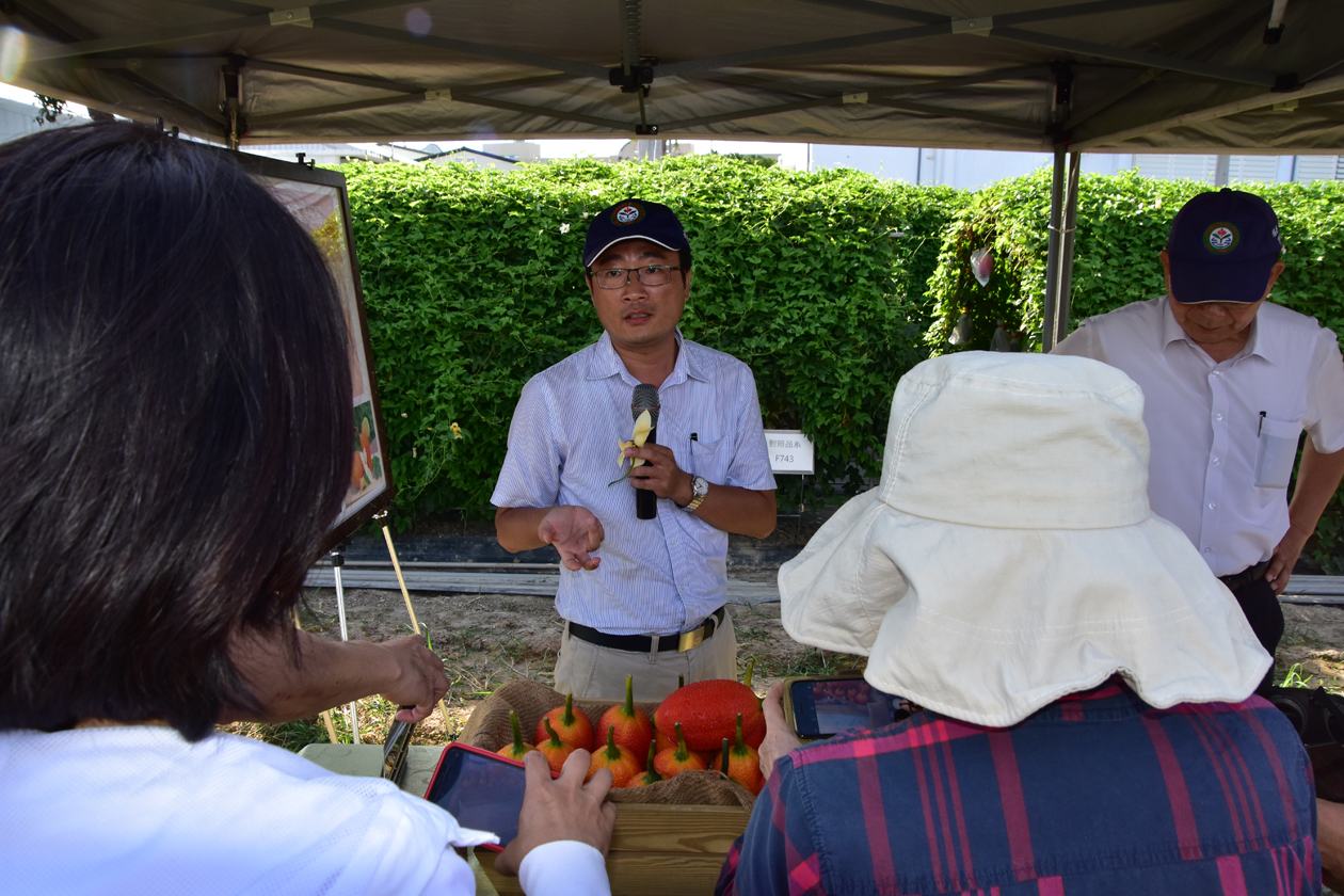 委員田間勘查木虌果臺東1號生育情形