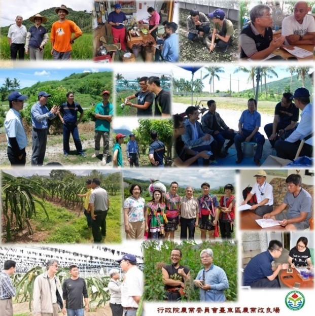 陪伴師與專家現地輔導情形