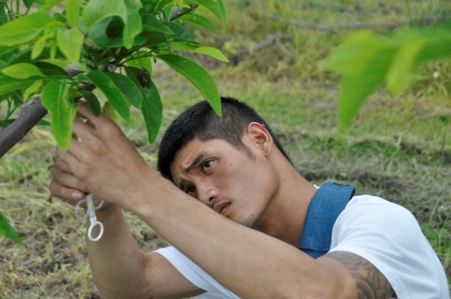 臺東農業專業技術團成員支援農事,改善農業缺工。 臺東農業專業技術團成員支援農事,改善農業缺工。