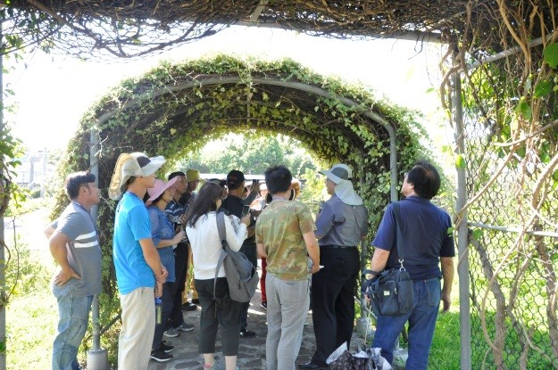 保健植物識別技術課程學習情形