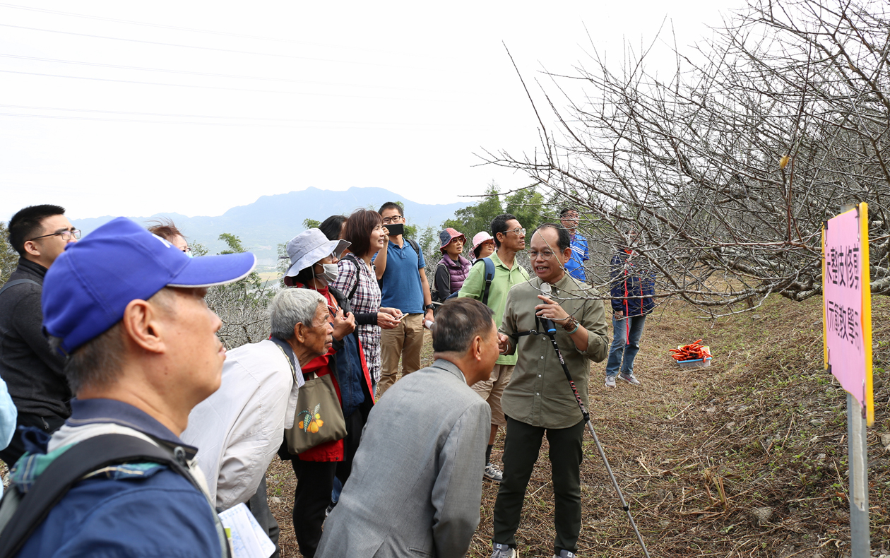 Assistant researcher Chen Yi-jun talks about pruning during the dormant period (fall/winter).