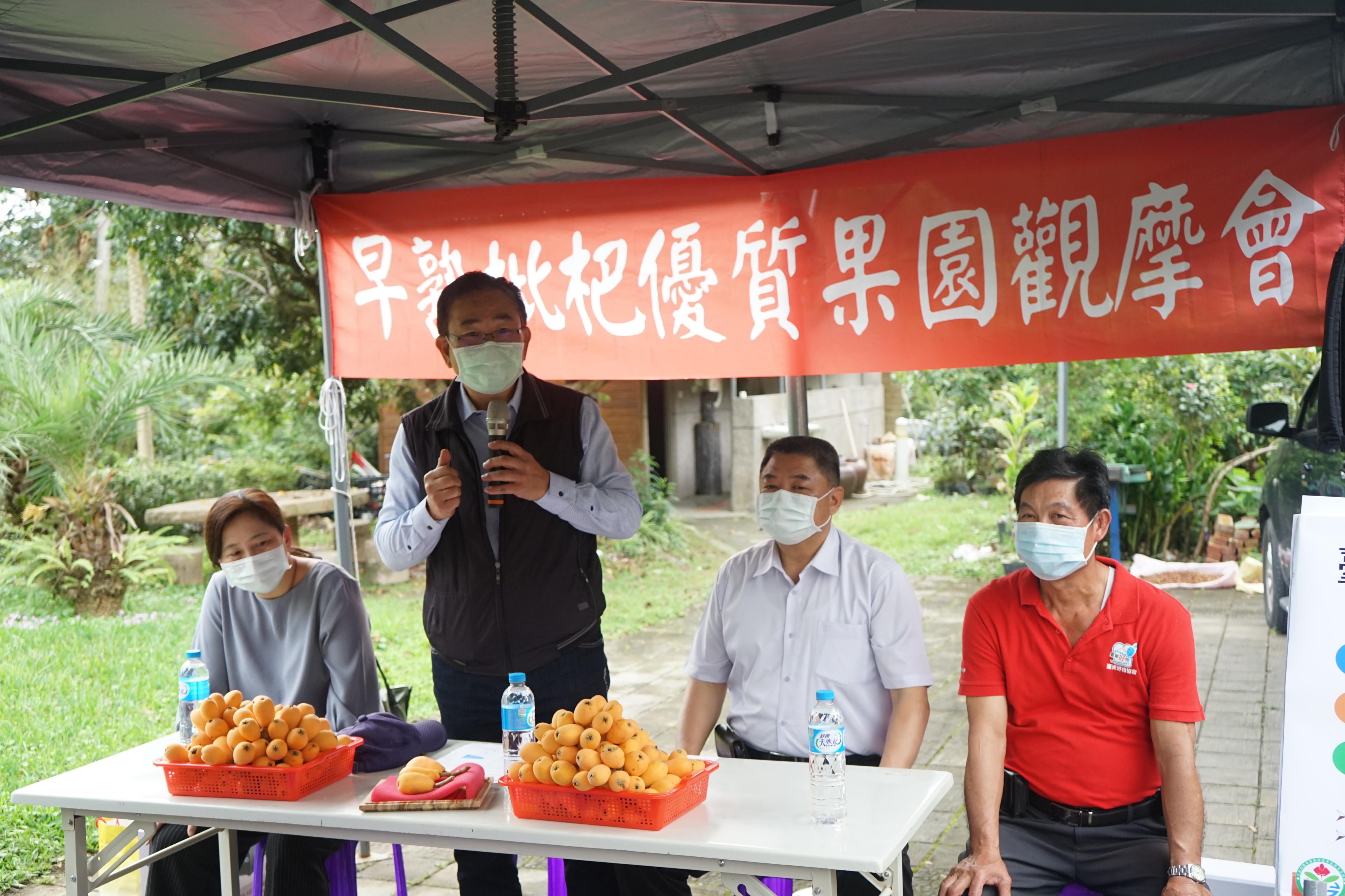 Fig. 1. TTDARES Director Chen Hsin-yen hosts the Early-maturing Loquat Orchard Demonstration Event.